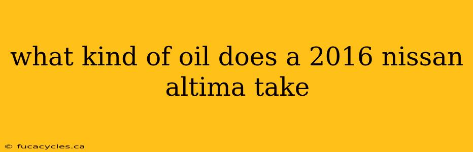 what kind of oil does a 2016 nissan altima take