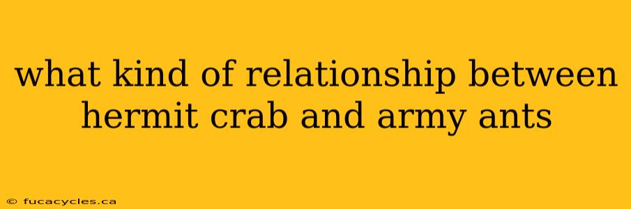 what kind of relationship between hermit crab and army ants