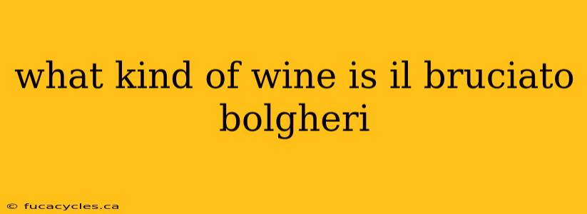 what kind of wine is il bruciato bolgheri