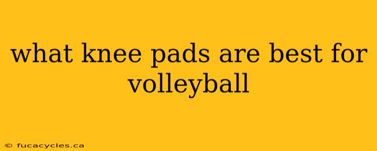 what knee pads are best for volleyball