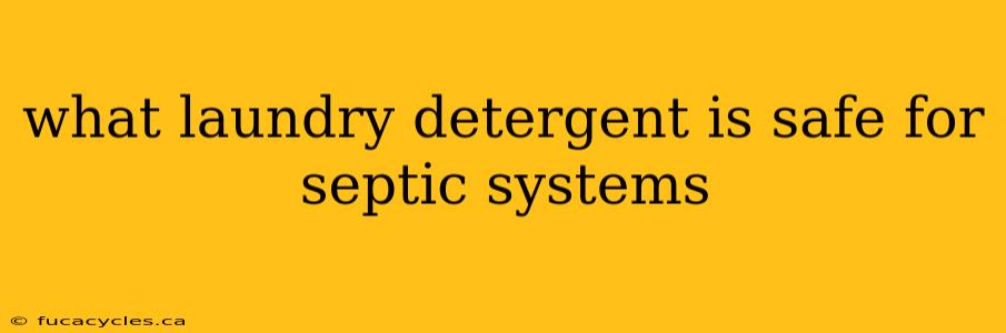 what laundry detergent is safe for septic systems