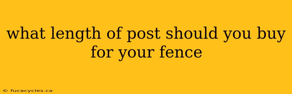 what length of post should you buy for your fence