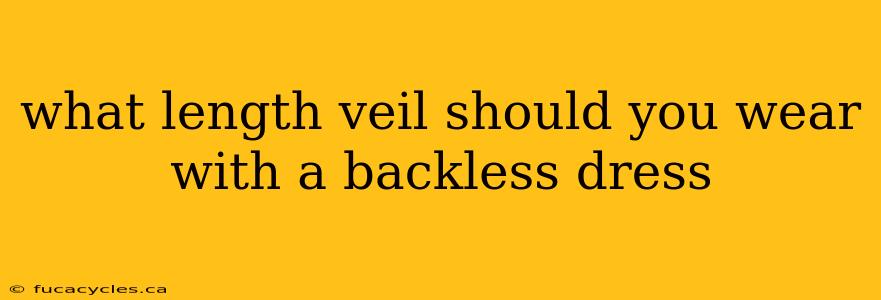 what length veil should you wear with a backless dress