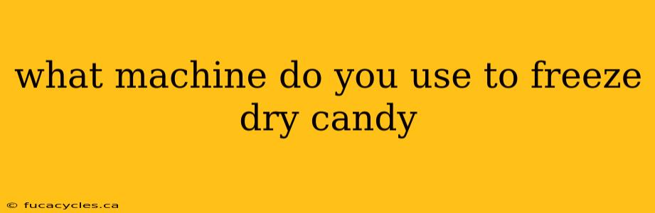 what machine do you use to freeze dry candy