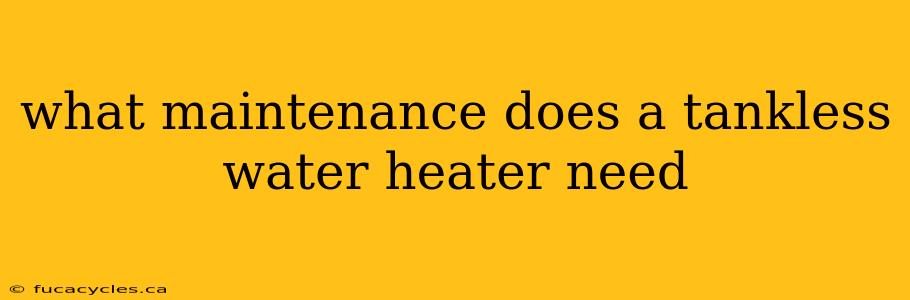 what maintenance does a tankless water heater need