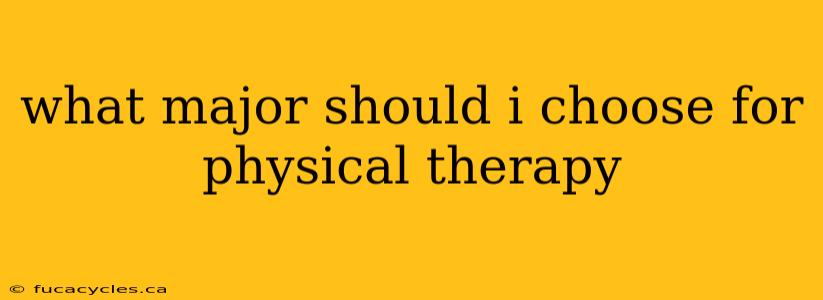 what major should i choose for physical therapy