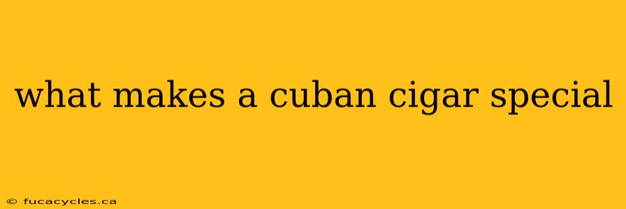 what makes a cuban cigar special