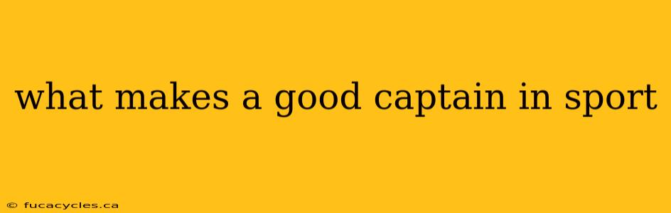 what makes a good captain in sport