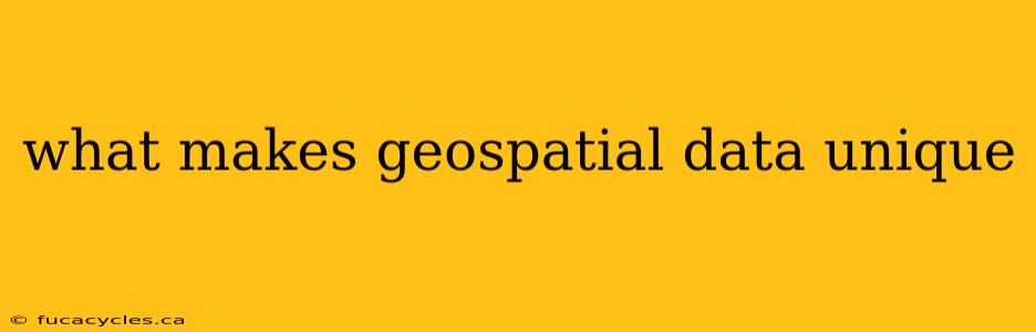 what makes geospatial data unique