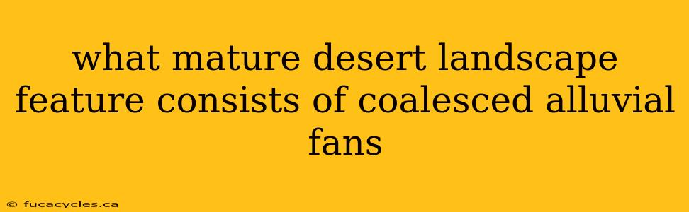 what mature desert landscape feature consists of coalesced alluvial fans