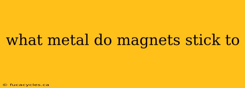 what metal do magnets stick to