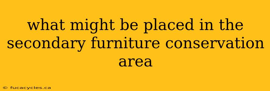 what might be placed in the secondary furniture conservation area