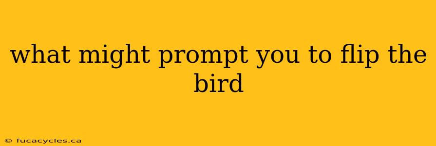 what might prompt you to flip the bird