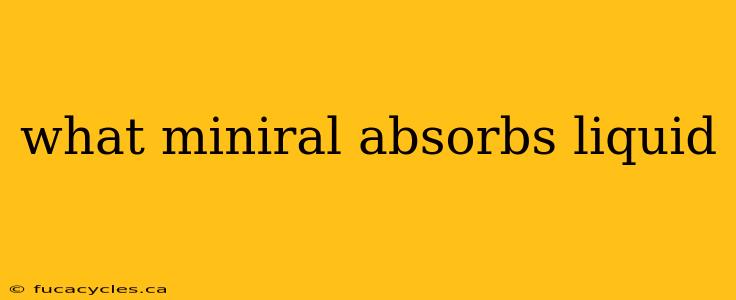 what miniral absorbs liquid