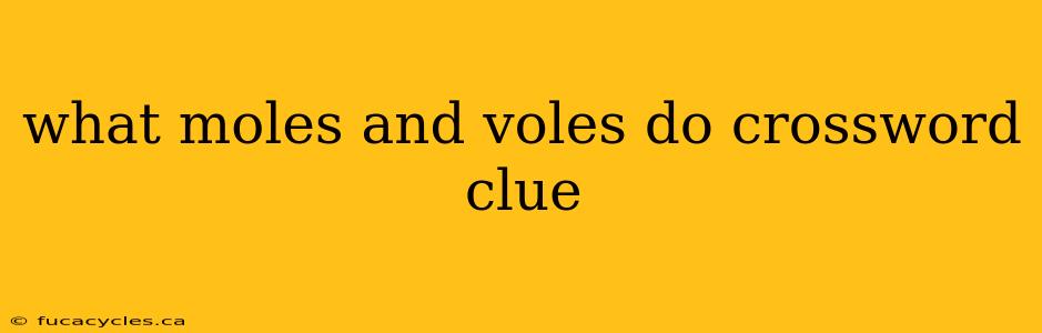 what moles and voles do crossword clue