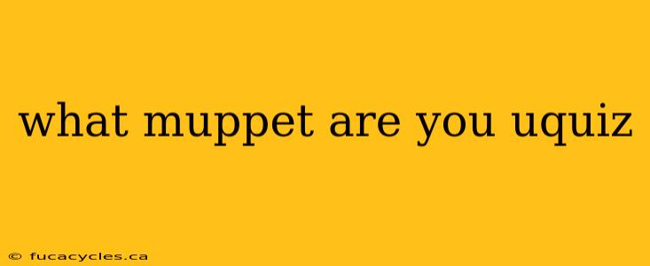 what muppet are you uquiz