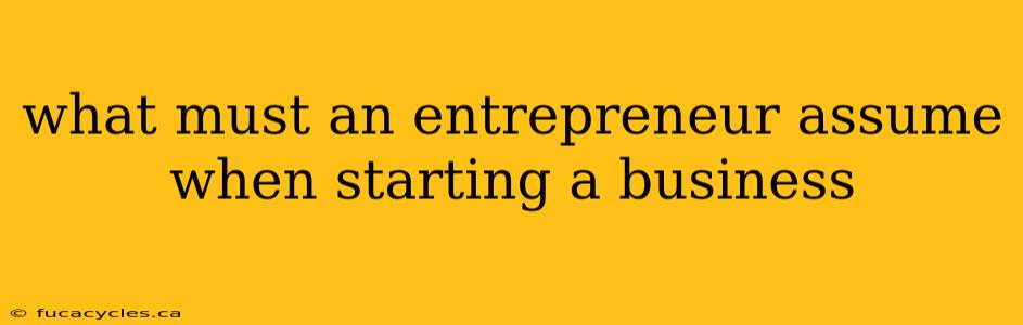 what must an entrepreneur assume when starting a business