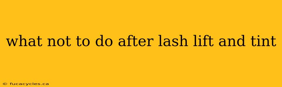 what not to do after lash lift and tint