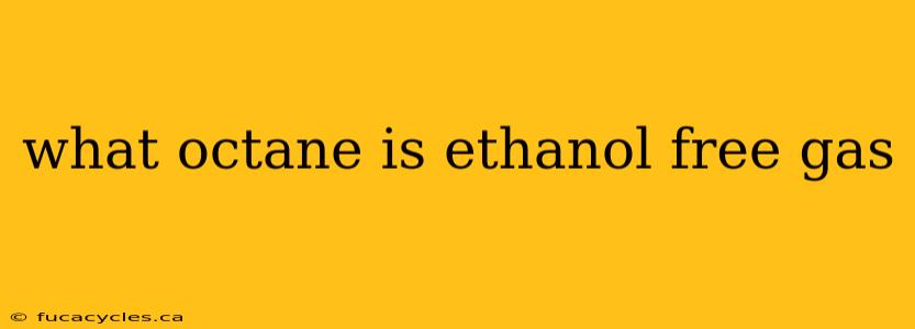 what octane is ethanol free gas