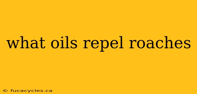 what oils repel roaches