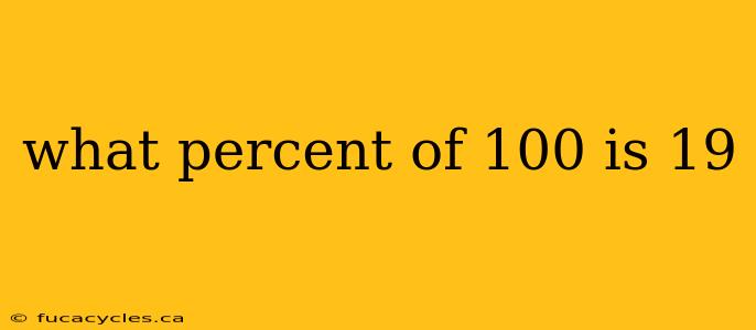 what percent of 100 is 19