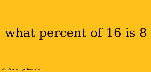 what percent of 16 is 8