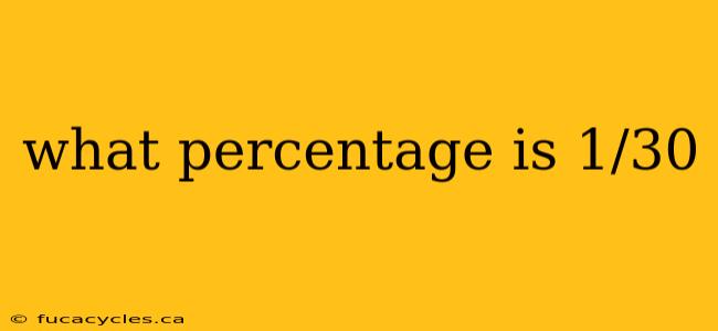 what percentage is 1/30