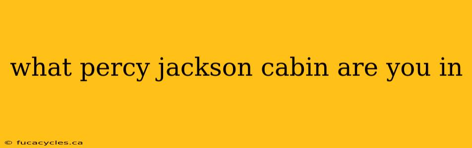 what percy jackson cabin are you in