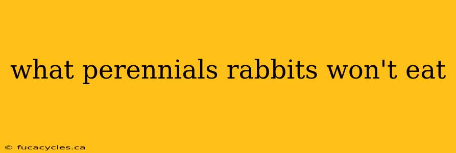 what perennials rabbits won't eat