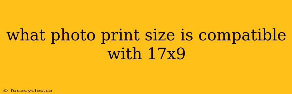 what photo print size is compatible with 17x9