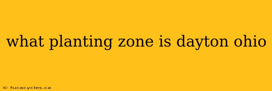 what planting zone is dayton ohio