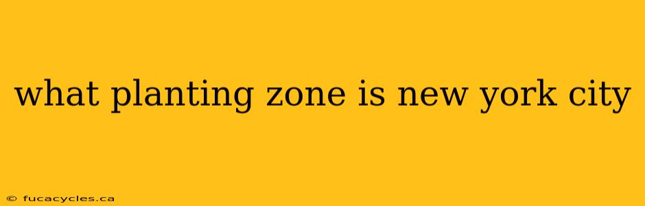 what planting zone is new york city