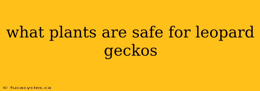 what plants are safe for leopard geckos