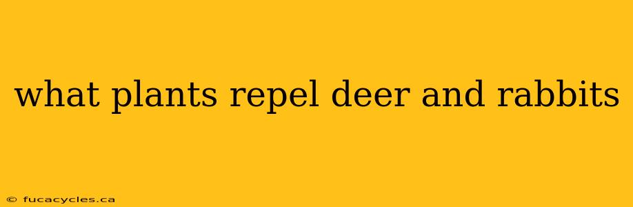 what plants repel deer and rabbits