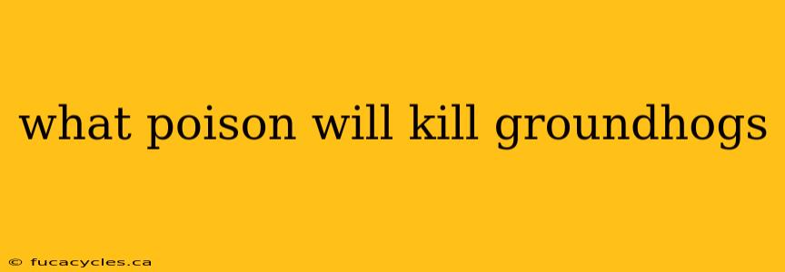 what poison will kill groundhogs