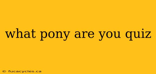 what pony are you quiz