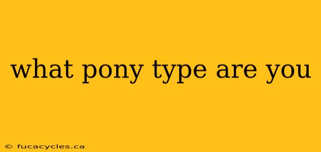 what pony type are you