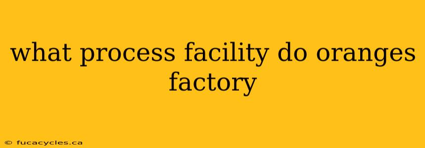 what process facility do oranges factory