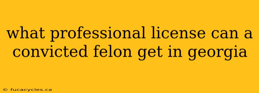 what professional license can a convicted felon get in georgia