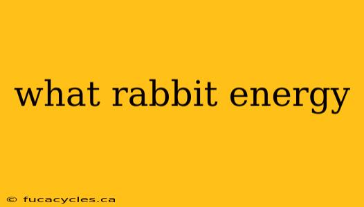 what rabbit energy