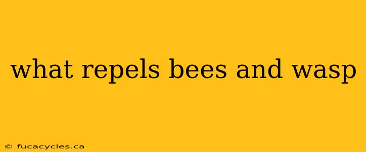 what repels bees and wasp