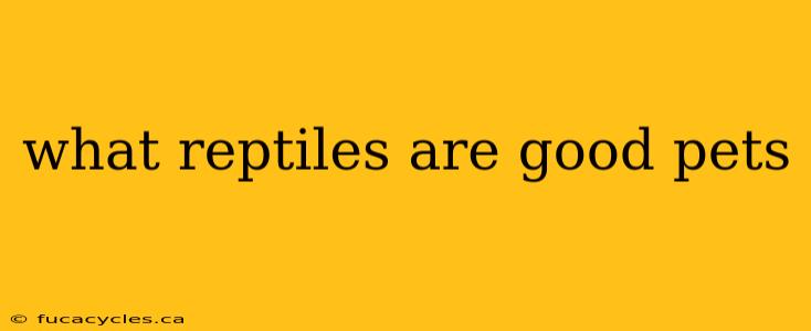 what reptiles are good pets