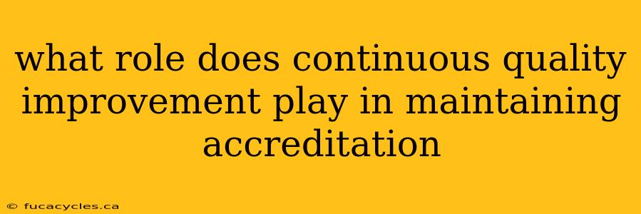 what role does continuous quality improvement play in maintaining accreditation