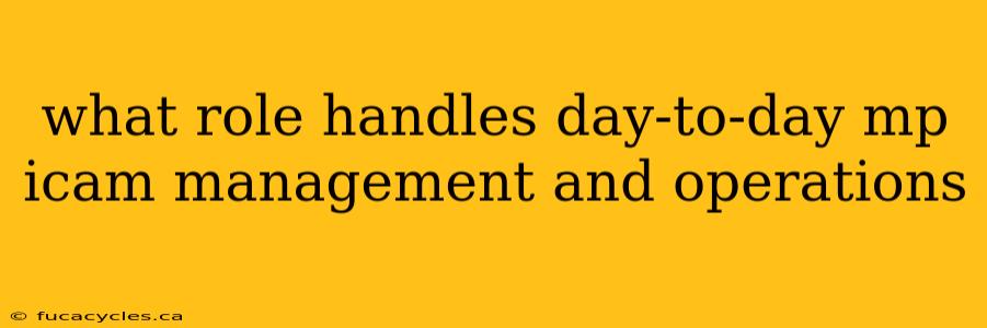 what role handles day-to-day mp icam management and operations