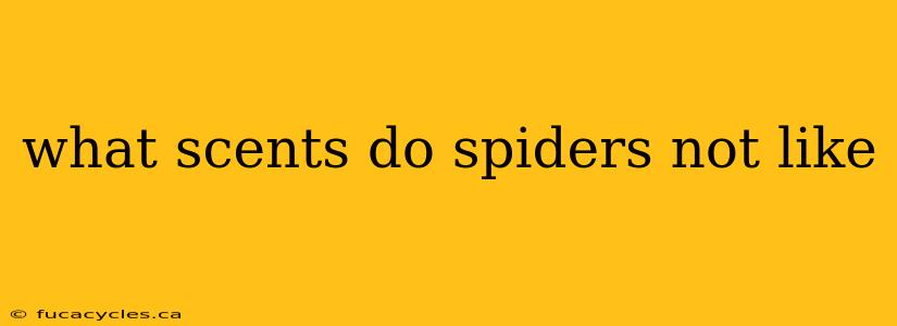 what scents do spiders not like