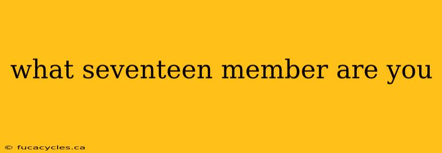 what seventeen member are you