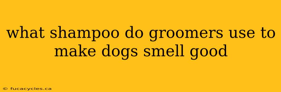 what shampoo do groomers use to make dogs smell good