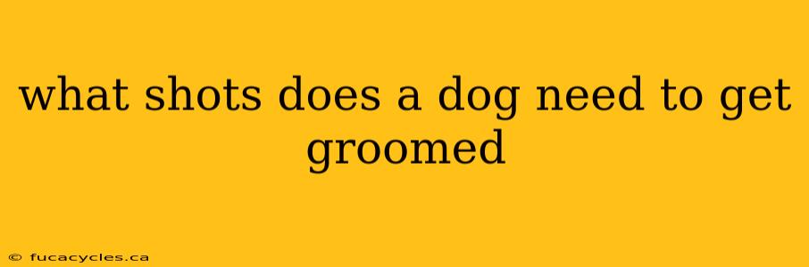 what shots does a dog need to get groomed