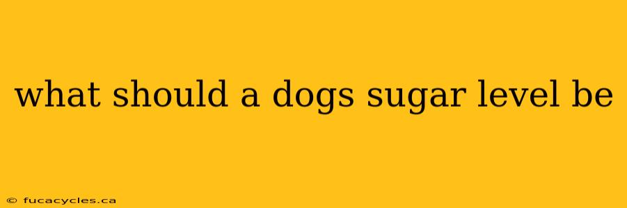 what should a dogs sugar level be