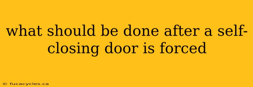 what should be done after a self-closing door is forced